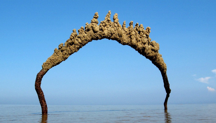 沙堡,马特·卡琳尔,安东尼·高迪