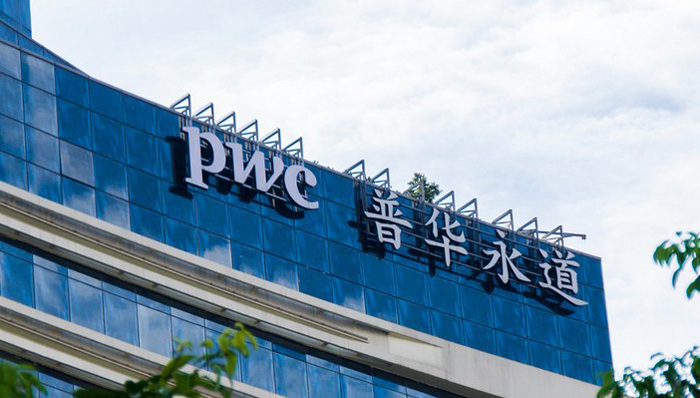 四大人职业发展报告