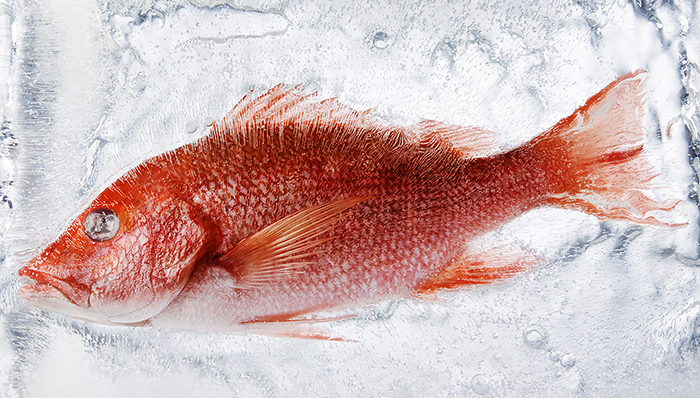 中国冷链生鲜电商发展