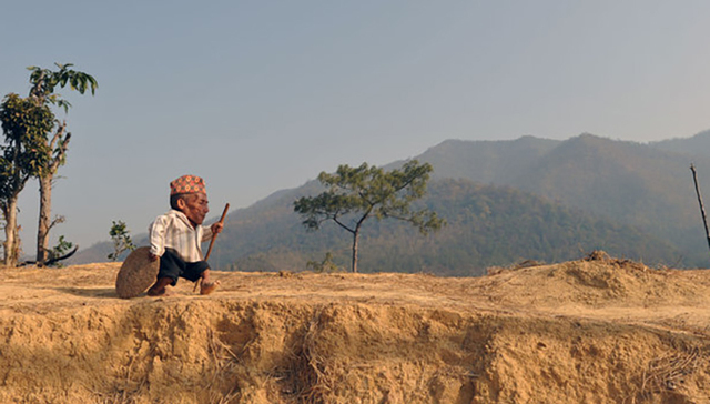 吉尼斯,世界纪录,世界最矮的人