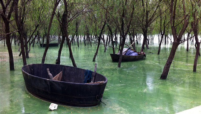 太湖巢湖,水源地,藻毒素