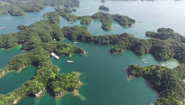 日本,长崎,送报员,报纸