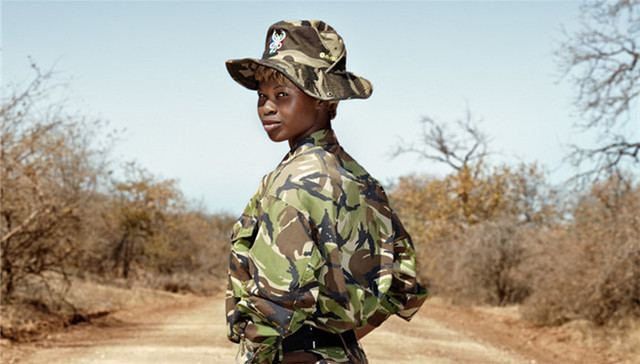 非洲,黑曼巴,反偷猎,摄影,动物保护