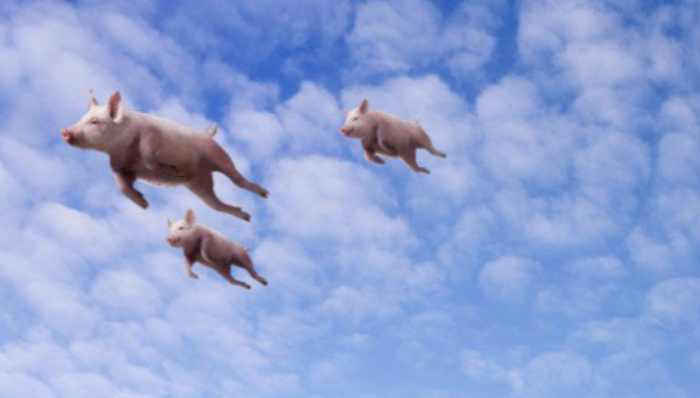 弘毅,赵令欢,中国经济,国企改革