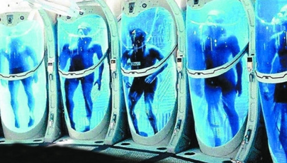 人体,冷冻,科学,作家