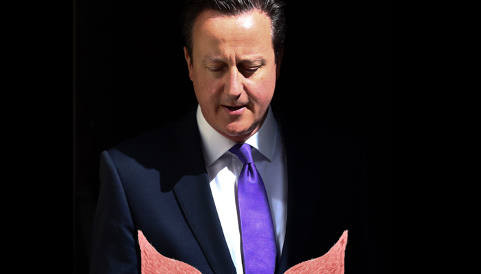 英国,,牛津,,卡梅伦,,首相,,猪,,政治,,保守党,,推特,,社交网络,,淫乱,,大学,,社团