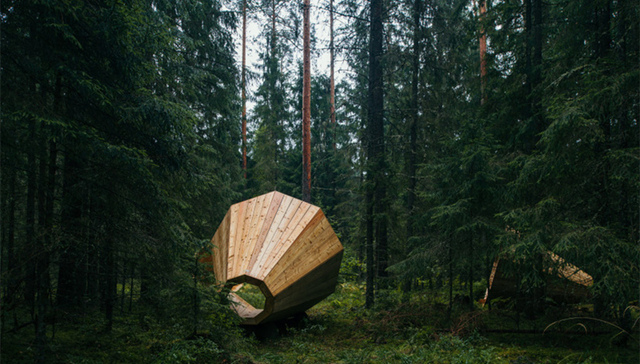 爱沙尼亚,,森林,,大自然的声音,,艺术,,创意,,冥想