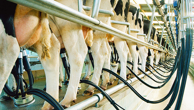 辉山乳业部分产品被指有害物超标