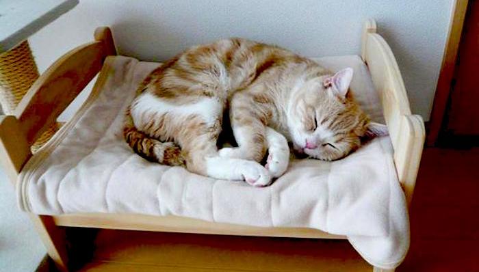 创意设计,租房,家居,生活方式,家庭与生活