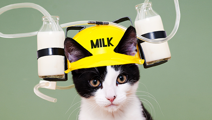 河北食药局发声明证明辉山乳业产品的安全