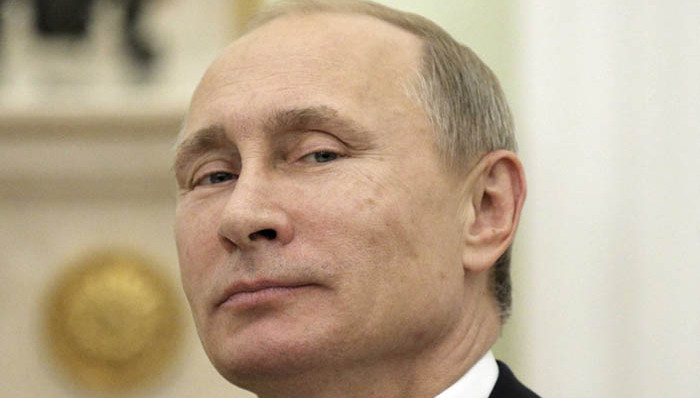 普京,俄罗斯,总统竞选