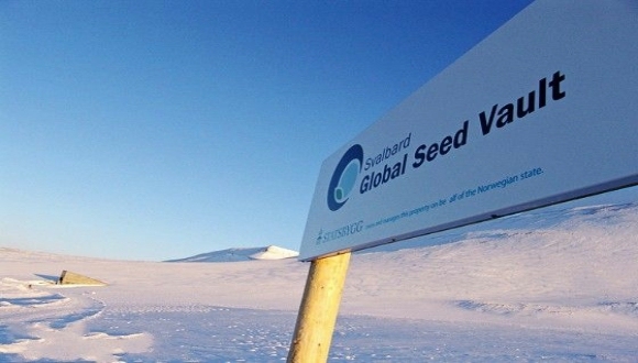 挪威,斯瓦尔巴,全球种子库,世界末日