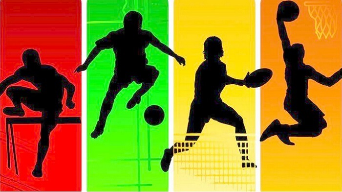 体育产业,人才培养,市场,媒体