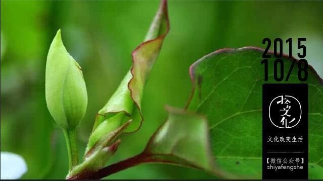 生活,野菜,健康