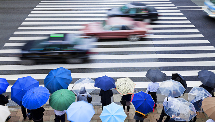 交通部回复专车、出租车改革相关提案