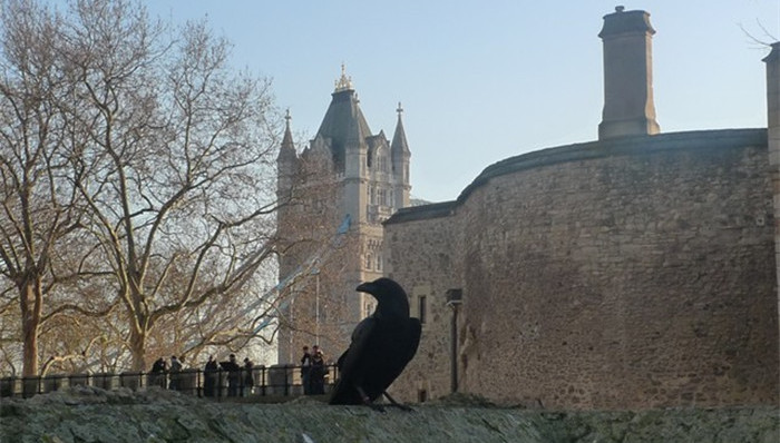 迷信,伦敦塔,女巫,葡萄,第谷