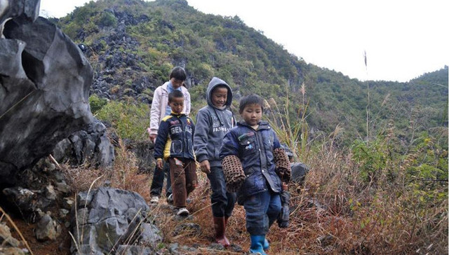 广西,马山,扶贫