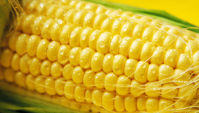 省级政府介入多个行业拯救企业