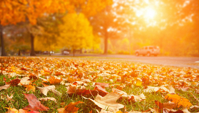 季节变化,嗅觉,季节的味道,涨姿势,生活常识