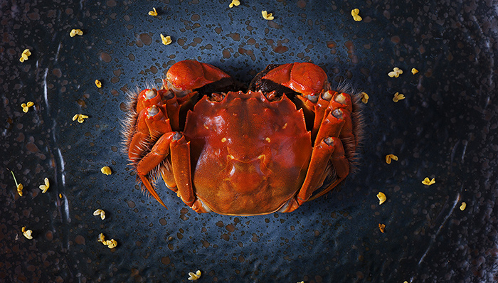 大闸蟹把电商平台当做新出路