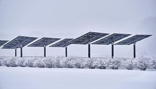 天威集团破产重整