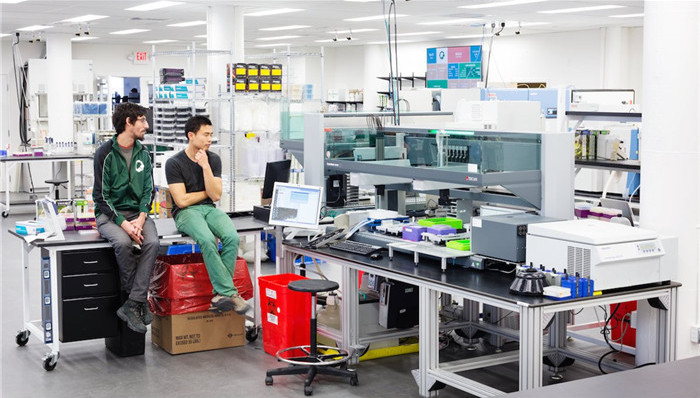 面包酵母制造玫瑰香水