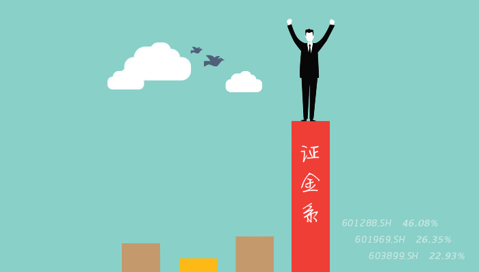 证金系持有股票情况