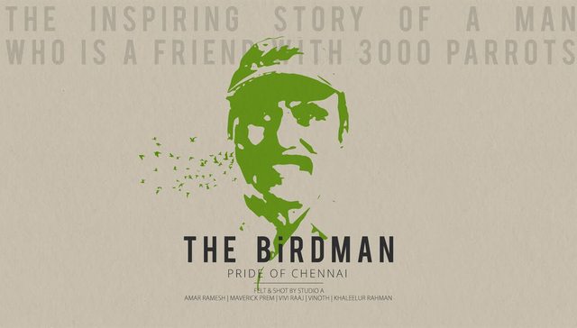 鹦鹉,印度,鸟人,清奈