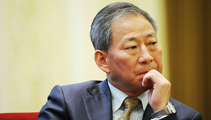 严介和的富人地产项目