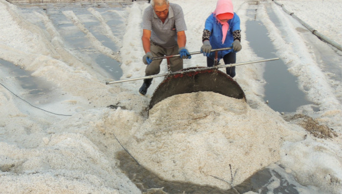 食盐,污染,塑料颗粒