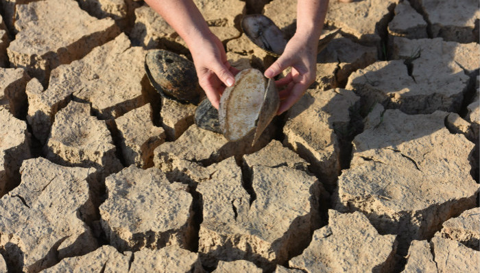 水利部,水土流失,严重,耕地
