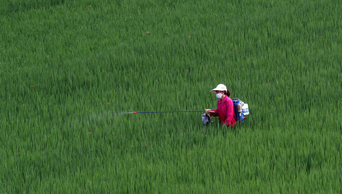 农村,农药,食品安全