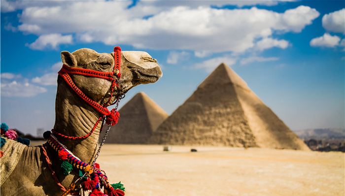 旅行,埃及,空难