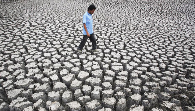 厄尔尼诺,天气,暖冬