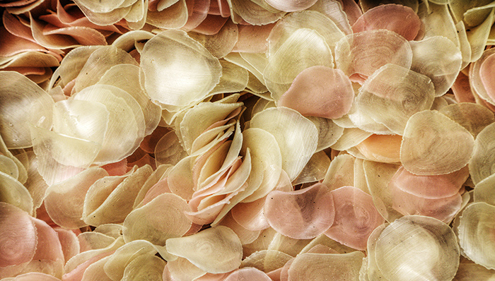 康师傅寻找新的利润增长点