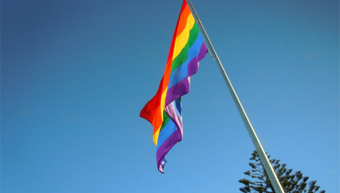 同性婚姻,收养,父子