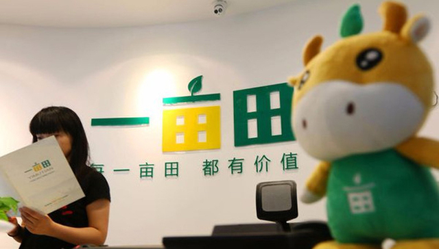 一亩田,农业,B2B