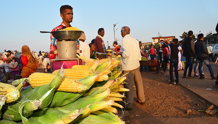 食品价格,联合国粮农组织