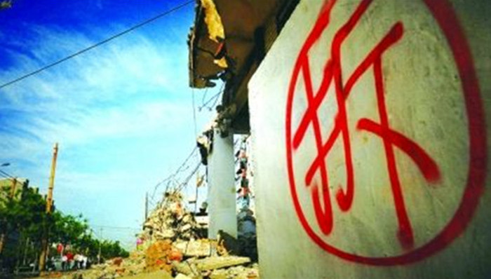 天津,亲姐弟,假结婚,上海,藏红花