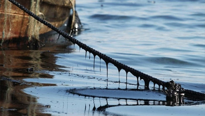 康菲石油公司,贾方义,公益诉讼,山东