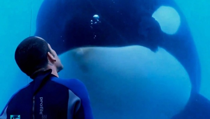 改变世界,纪录片