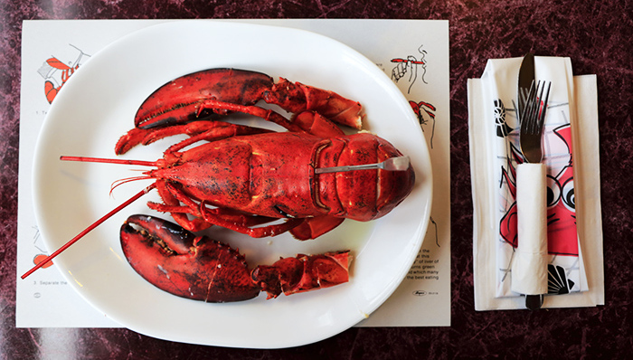 一只龙虾的双十一之旅