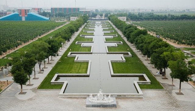 宁夏葡萄酒产业扩张