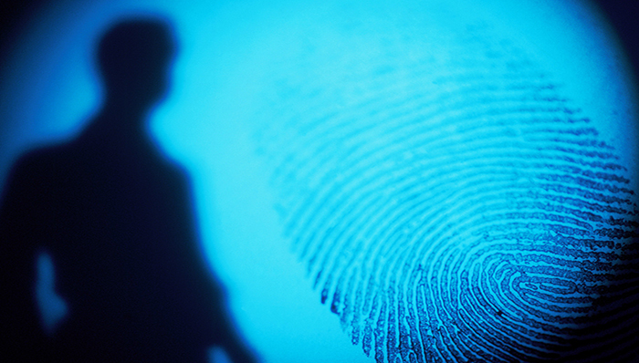 落马,官员,老虎,押解进京