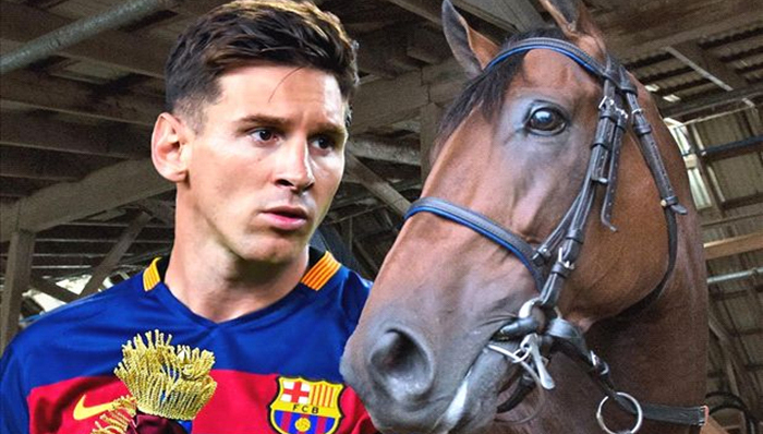 《体育画报》的年度最佳候选：一众大咖和一匹马