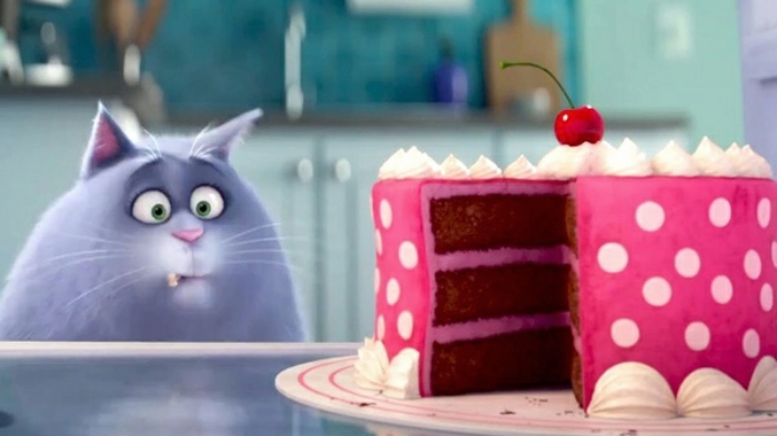 萌哭！你想过出门后，你家宠物在干嘛吗？