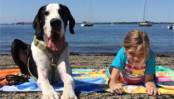 残疾儿童,服务犬,美国,狗狗,宠物,正能量,陪伴