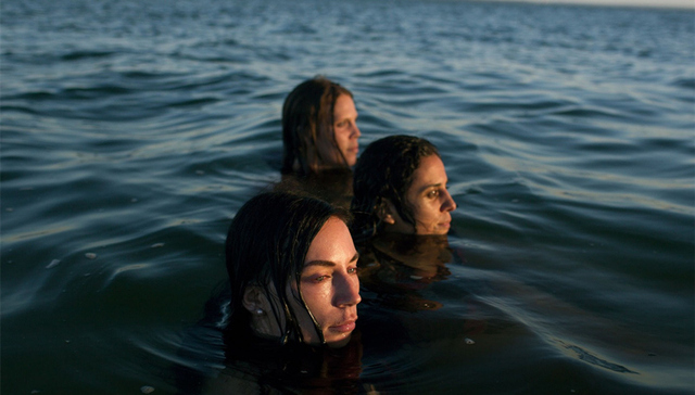 科学家,摄影,自然,野生研究,保护,学术研究