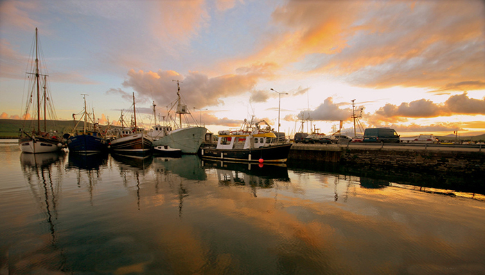 美国港口,三大港口,进口下降