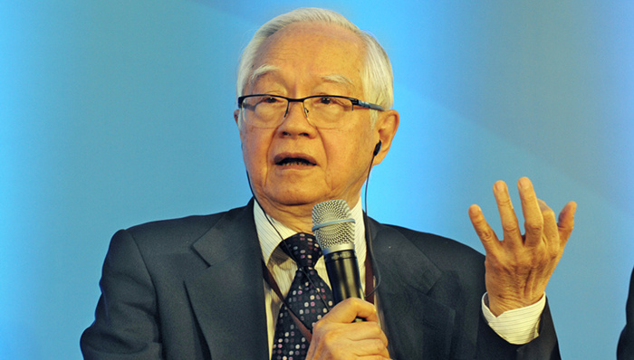 吴敬琏,中国经济,政府,投资